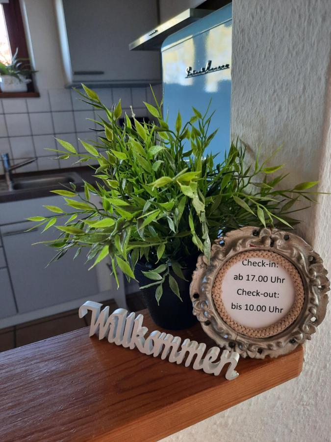 Schoene Einzimmer Wohnung Zwischen Bodensee Und Allgaeu 诺伊基希 外观 照片
