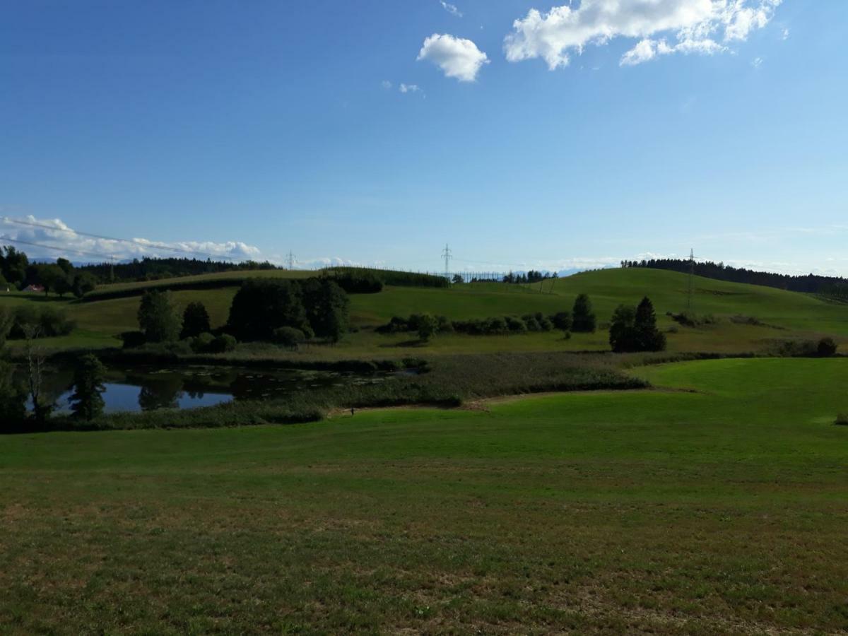 Schoene Einzimmer Wohnung Zwischen Bodensee Und Allgaeu 诺伊基希 外观 照片