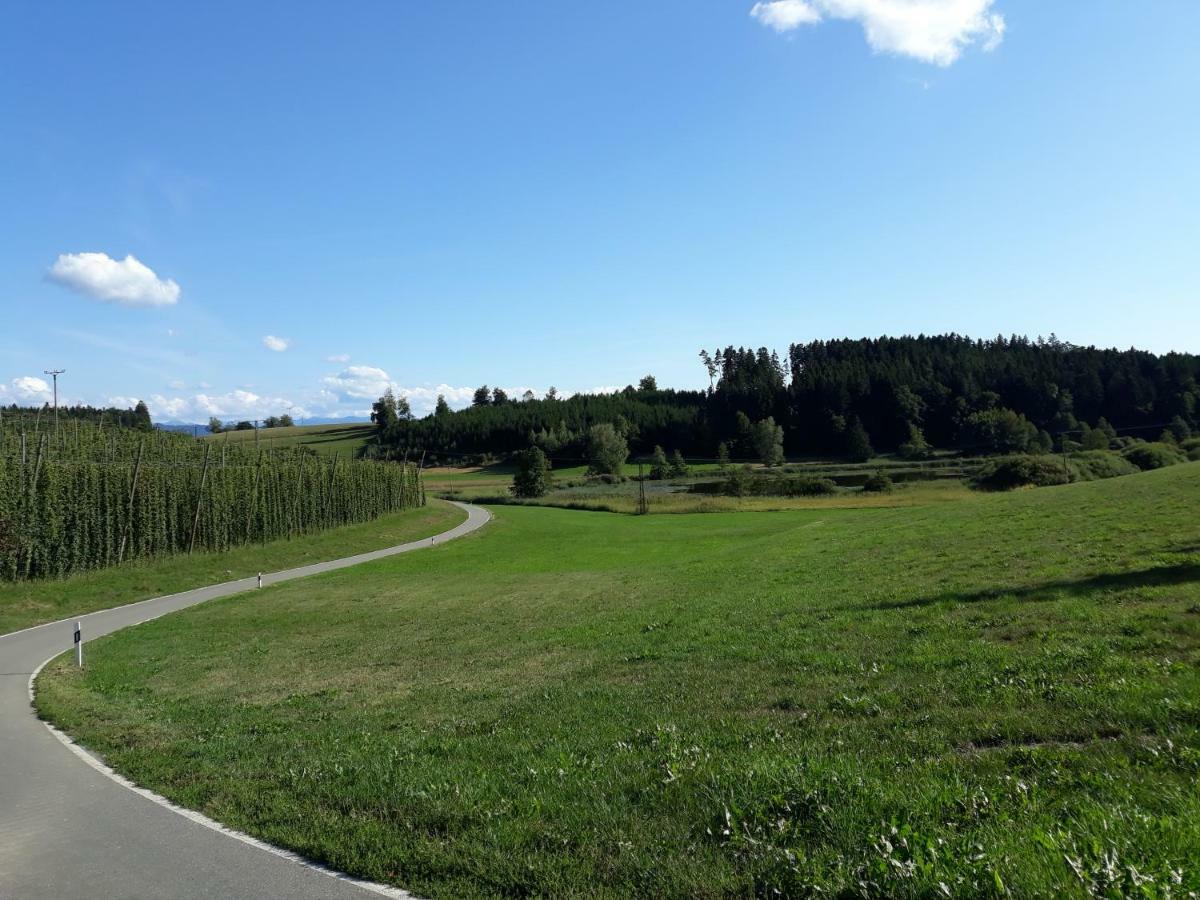 Schoene Einzimmer Wohnung Zwischen Bodensee Und Allgaeu 诺伊基希 外观 照片