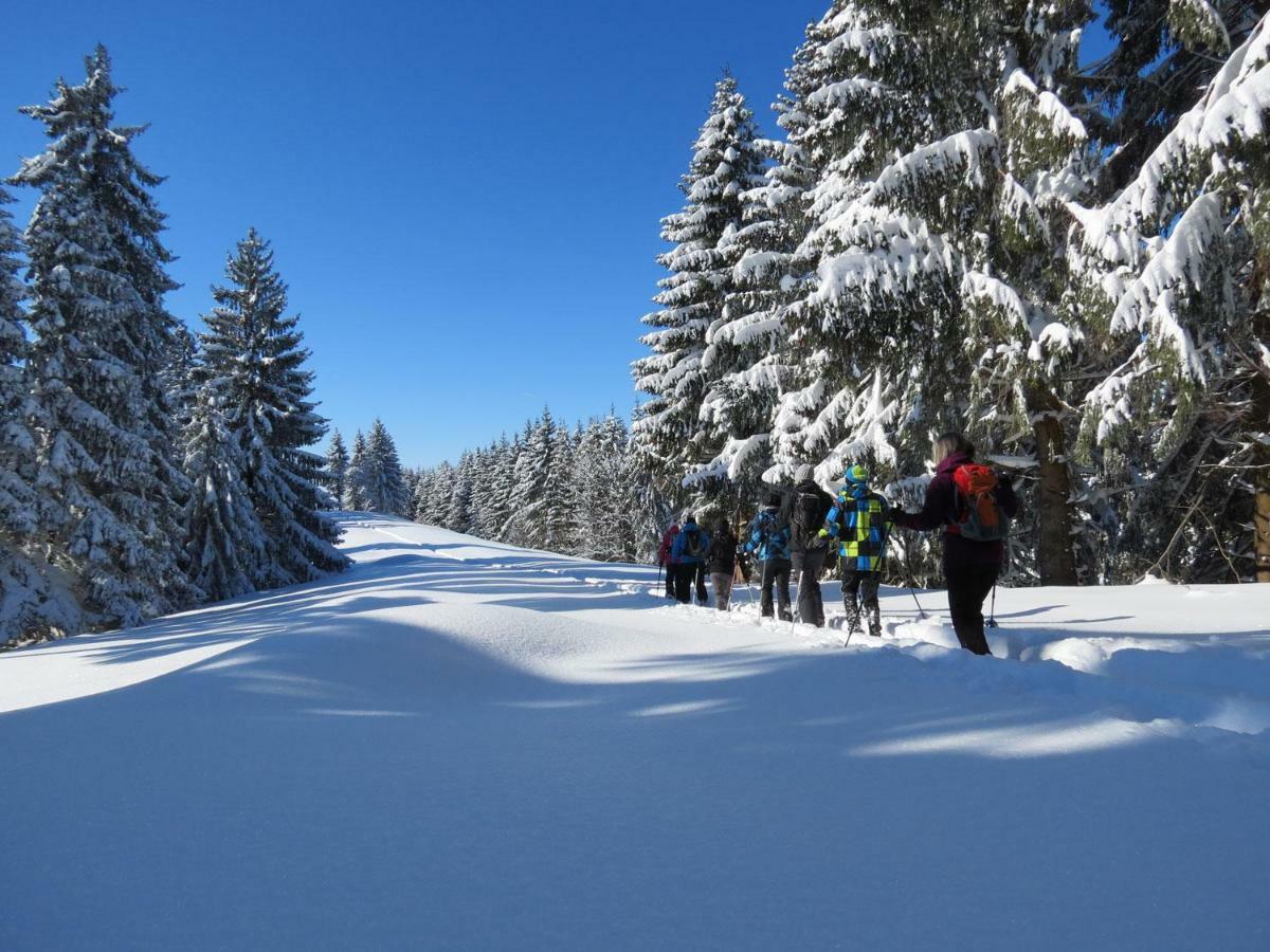 Schoene Einzimmer Wohnung Zwischen Bodensee Und Allgaeu 诺伊基希 外观 照片